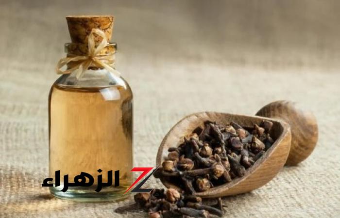 «ستندهشي من الفوائد»..جربي زيت الزيتون مع القرنفل لمدة 5 دقائق قبل النوم في هذا المكان وشوفي المفاجأة النهائية!!..النجاح الإخباري